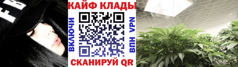 Купить наркотики сайты Коркино Конопля  БУТИРАТ  ГАШ  МЕФ  Cocaine 