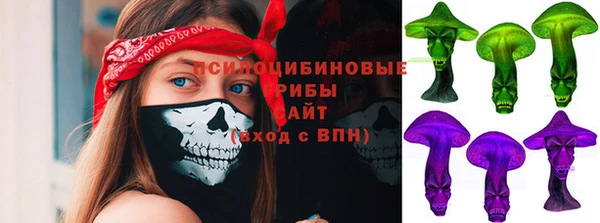 ГАЛЛЮЦИНОГЕННЫЕ ГРИБЫ Инсар