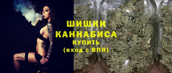 амф Надым