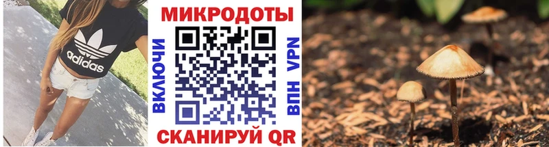 Псилоцибиновые грибы ЛСД Коркино